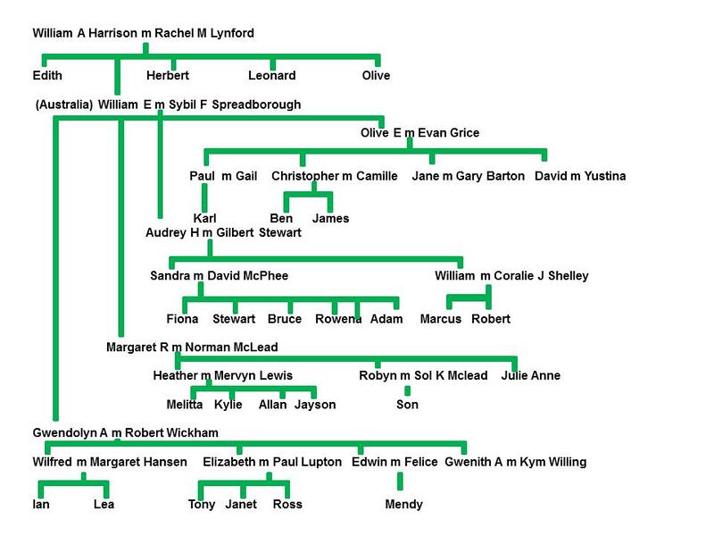 File:Harr. Tree 4.jpg