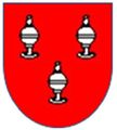 Heraldic Arms of the Argentein Family.
