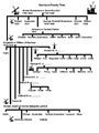 William A Harrison family tree.